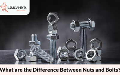 What are the Difference Between Nuts and Bolts?