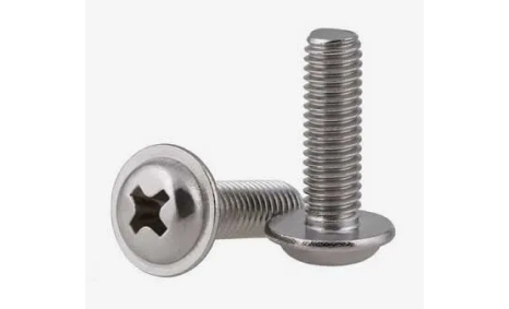 Duplex Stainless Steel S31803 Screw Duplex Stainless Steel S31803 Screw