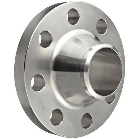 SS 304 Weld Neck Flange